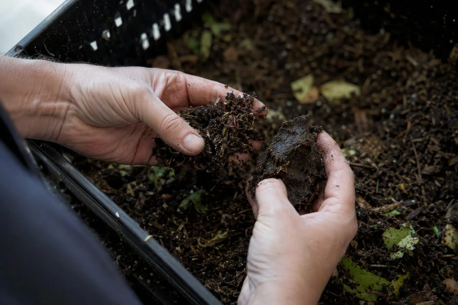 Hands compare loose bedding with a wet clump to show how moisture affects air space in a worm bin.