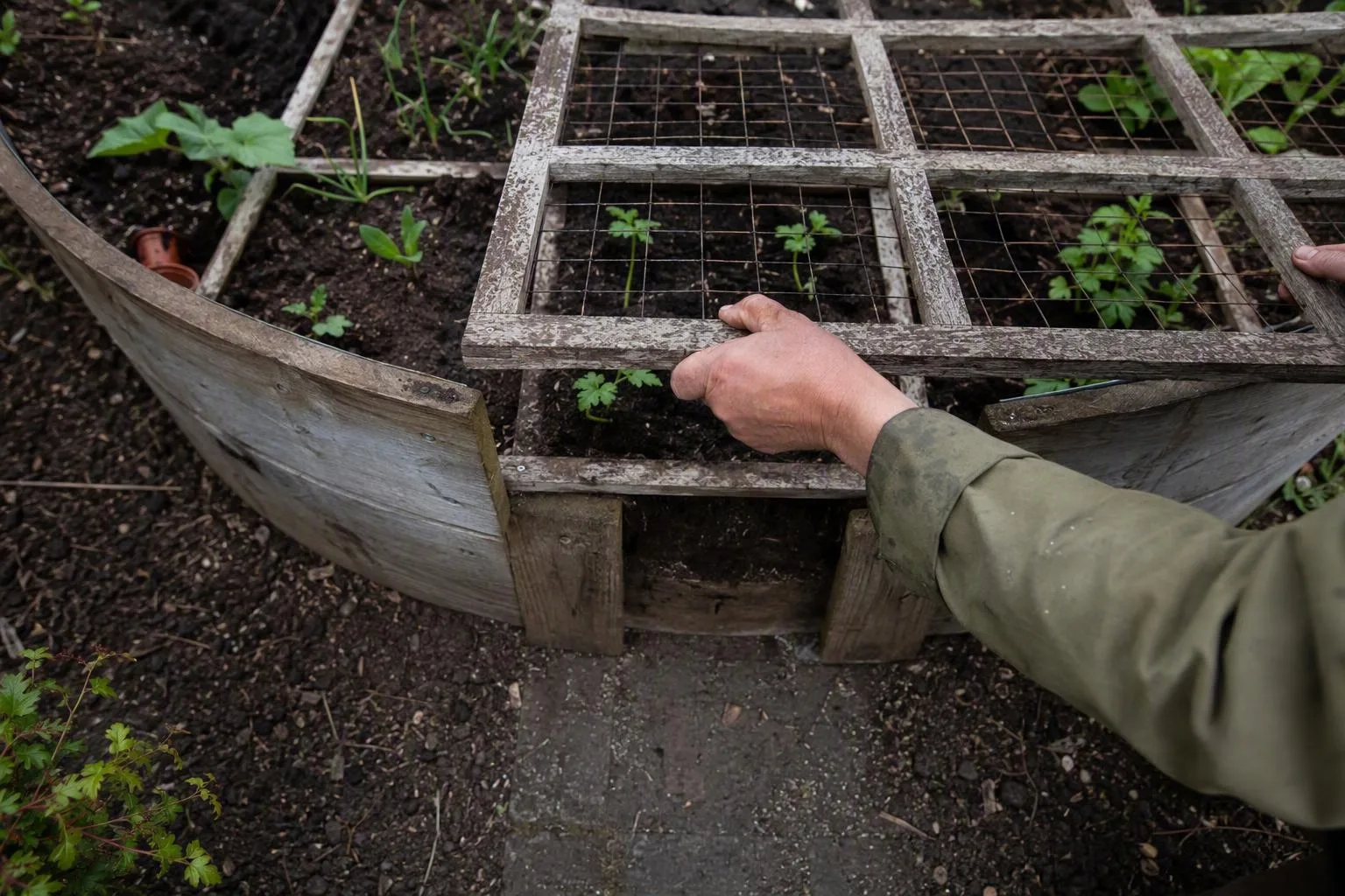 String outlines show L-shaped, U-shaped, and keyhole bed layouts in a garden corner