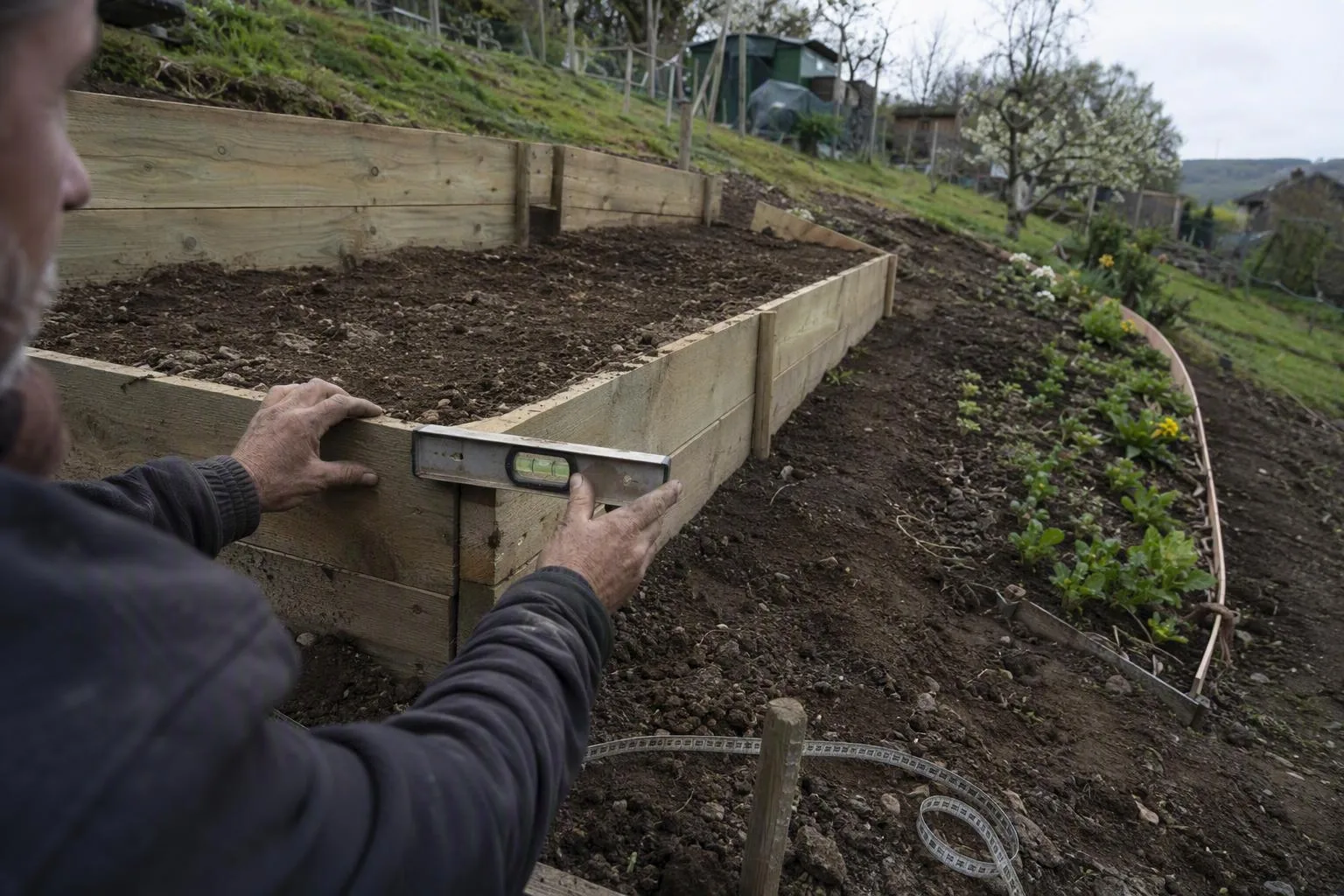Narrow raised bed beside a fence and hedge with terraced planting on a nearby slope